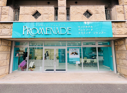 1Fペットサロンのお店が１月３０日オープンします